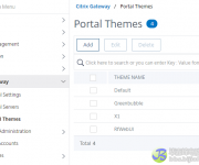 Citrix ADC Netscaler 13.0 3..Citrix Gateway主题配置 Portal Themes